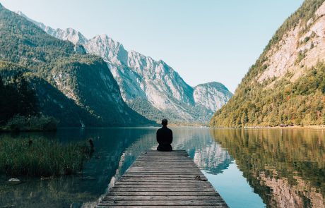 Looking above: discover ecosystem above your head